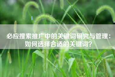 必应搜索推广中的关键词研究与管理：如何选择合适的关键词？