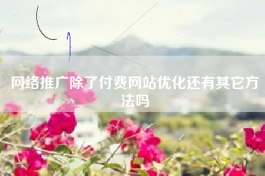 网络推广除了付费网站优化还有其它方法吗