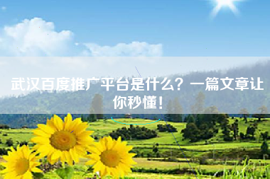 武汉百度推广平台是什么？一篇文章让你秒懂！