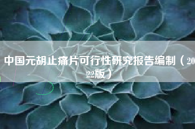 中国元胡止痛片可行性研究报告编制（2022版）
