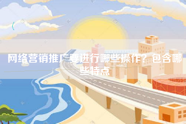 网络营销推广要进行哪些操作？包含哪些特点