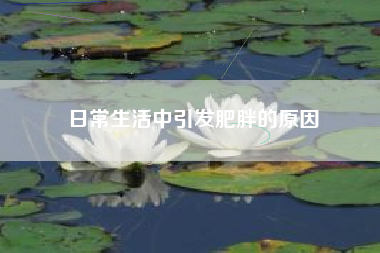 日常生活中引发肥胖的原因
