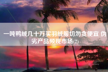 一吨鸭绒几十万买羽绒服切勿贪便宜 伪劣产品频现市场(2)