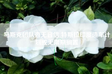马斯克团队杳无音信 特斯拉印度造车计划或无限期搁置