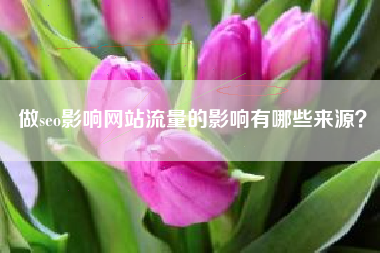 做seo影响网站流量的影响有哪些来源？