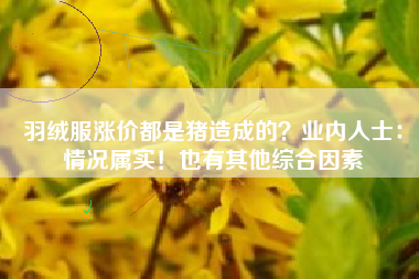 羽绒服涨价都是猪造成的？业内人士：情况属实！也有其他综合因素