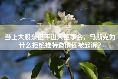 当上大股东但不进入董事会，马斯克为什么拒绝推特邀请还被起诉？