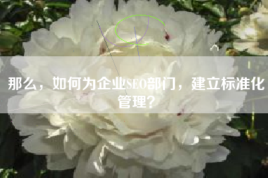 那么，如何为企业SEO部门，建立标准化管理？