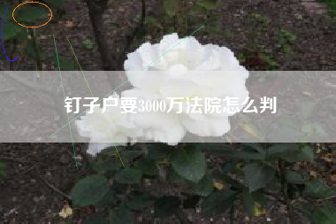 钉子户要3000万法院怎么判