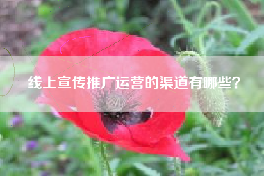 线上宣传推广运营的渠道有哪些？