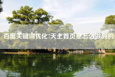 百度关键词优化7天上首页是怎么做到的