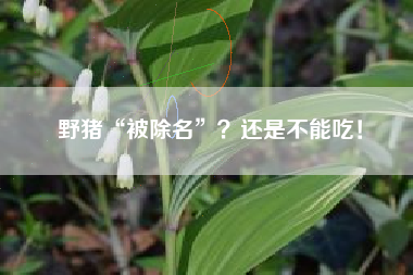 野猪“被除名”？还是不能吃！