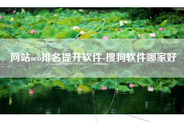 网站seo排名提升软件-搜狗软件哪家好