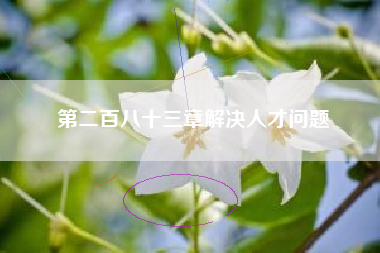 第二百八十三章解决人才问题