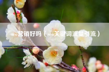 seo营销好吗（seo关键词流量引流）
