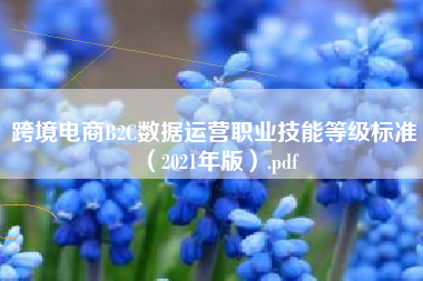 跨境电商B2C数据运营职业技能等级标准(2021年版).pdf 跨境电商B2C数据运营职业技能等级标准(2021年版).pdf