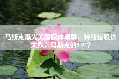马斯克曝光美国媒体黑幕，特斯拉股价大跌，马斯克的2022？