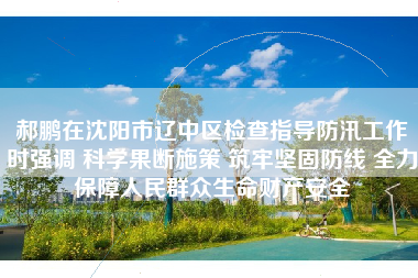 郝鹏在沈阳市辽中区检查指导防汛工作时强调 科学果断施策 筑牢坚固防线 全力保障人民群众生命财产安全