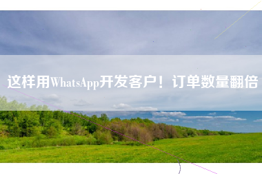 这样用WhatsApp开发客户！订单数量翻倍