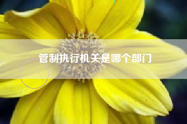 管制执行机关是哪个部门