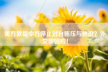 美方敦促中方停止对台施压与胁迫？外交部回应！