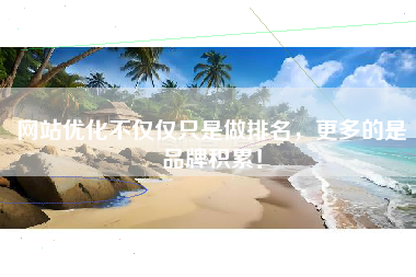 网站优化不仅仅只是做排名，更多的是品牌积累！