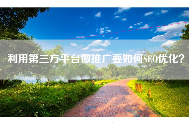 利用第三方平台做推广要如何SEO优化？