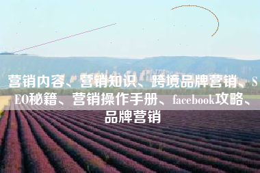 营销内容、营销知识、跨境品牌营销、SEO秘籍、营销操作手册、facebook攻略、品牌营销
