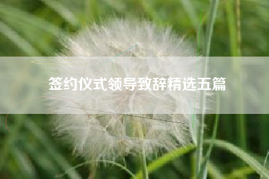 签约仪式领导致辞精选五篇
