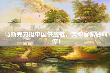 马斯克力挺中国供应链，美政客紧急叫停！