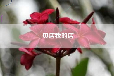贝店我的店 贝店我的店