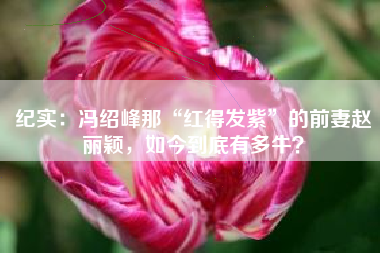 纪实：冯绍峰那“红得发紫”的前妻赵丽颖，如今到底有多牛？