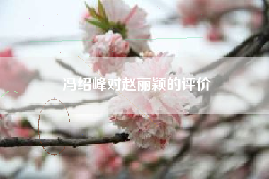 冯绍峰对赵丽颖的评价