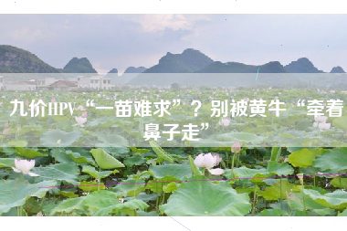 九价HPV“一苗难求”？别被黄牛“牵着鼻子走”