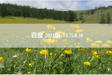 百度 2024版v13.75.0.10