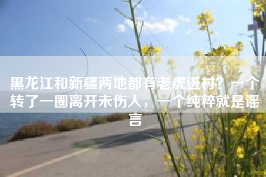 黑龙江和新疆两地都有老虎进村？一个转了一圈离开未伤人，一个纯粹就是谣言
