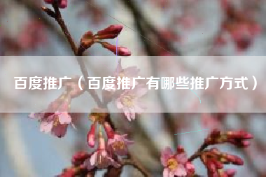 百度推广（百度推广有哪些推广方式）