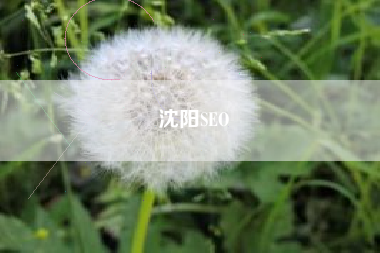 沈阳SEO