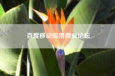 百度移动应用商业论坛