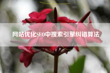 网站优化SEO中搜索引擎纠错算法