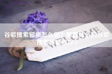 谷歌搜索留痕怎么做？需要什么的谷歌搜索留痕程序？