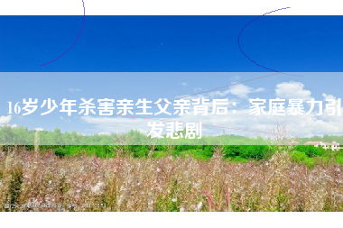 16岁少年杀害亲生父亲背后：家庭暴力引发悲剧