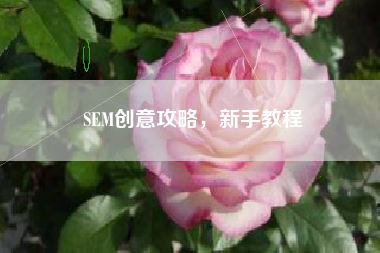 SEM创意攻略,新手教程 SEM创意攻略,新手教程