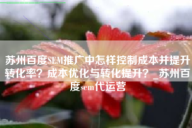苏州百度SEM推广中怎样控制成本并提升转化率？成本优化与转化提升？_苏州百度sem代运营