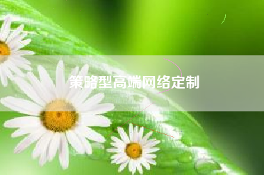 策略型高端网络定制
