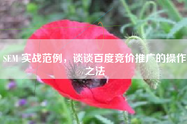 SEM 实战范例，谈谈百度竞价推广的操作之法