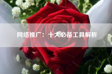 网络推广：十大必备工具解析