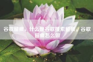 谷歌留痕，什么是谷歌搜索留痕，谷歌留痕怎么做
