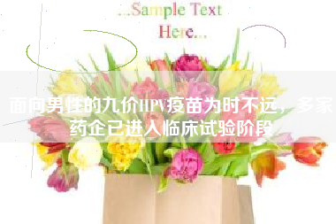 面向男性的九价HPV疫苗为时不远，多家药企已进入临床试验阶段