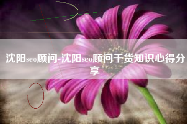 沈阳seo顾问-沈阳seo顾问干货知识心得分享